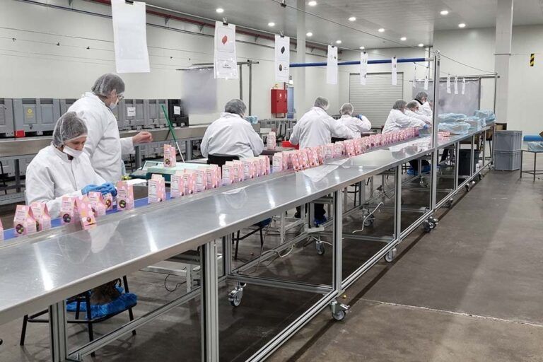 Entiris Assemblage en montage binnen verschillende sectoren - Entiris